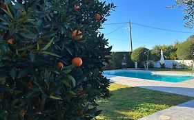 The Orange Garden