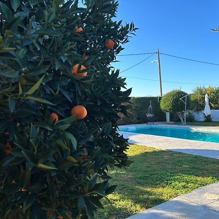 The Orange Garden Διαμέρισμα Ναύπλιο Εξωτερικό φωτογραφία