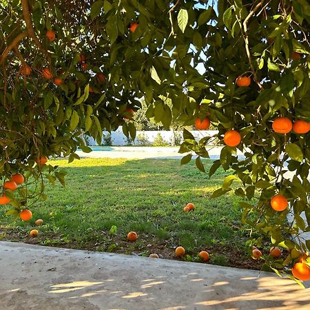 The Orange Garden Διαμέρισμα Ναύπλιο Εξωτερικό φωτογραφία