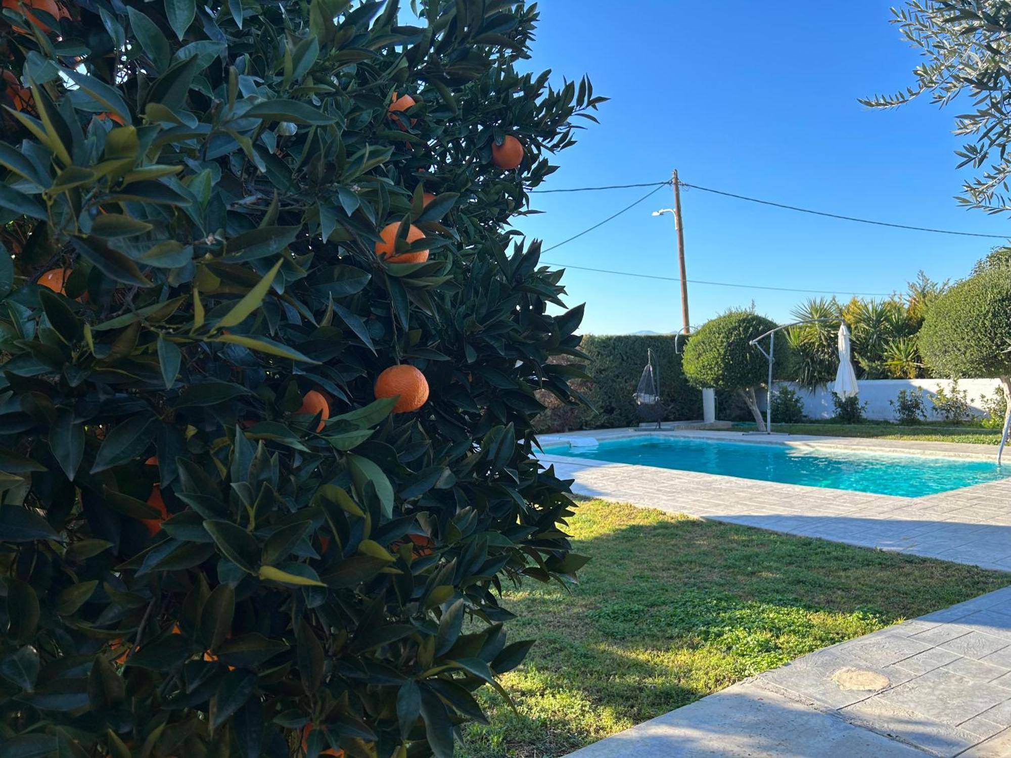 The Orange Garden Διαμέρισμα Ναύπλιο Εξωτερικό φωτογραφία
